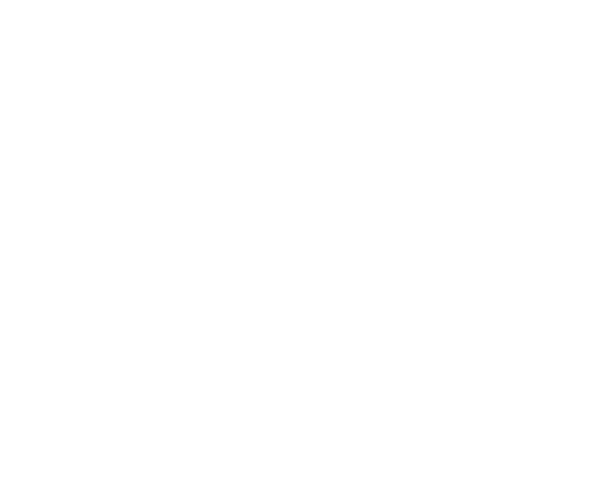donne chat adulte paris